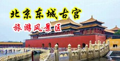 腿打开骚货中国北京-东城古宫旅游风景区